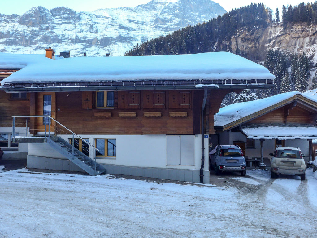 Schwendi 3 | Boeken bij Flickmyhouse