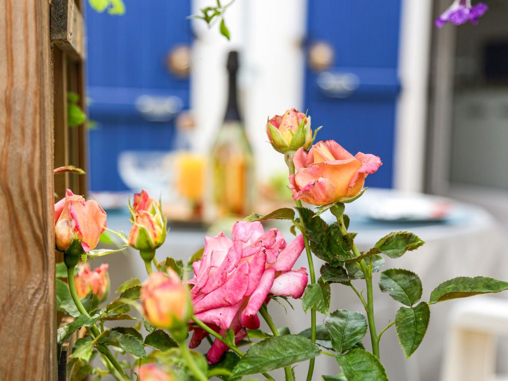 Jardin Secret | Boeken bij Flickmyhouse