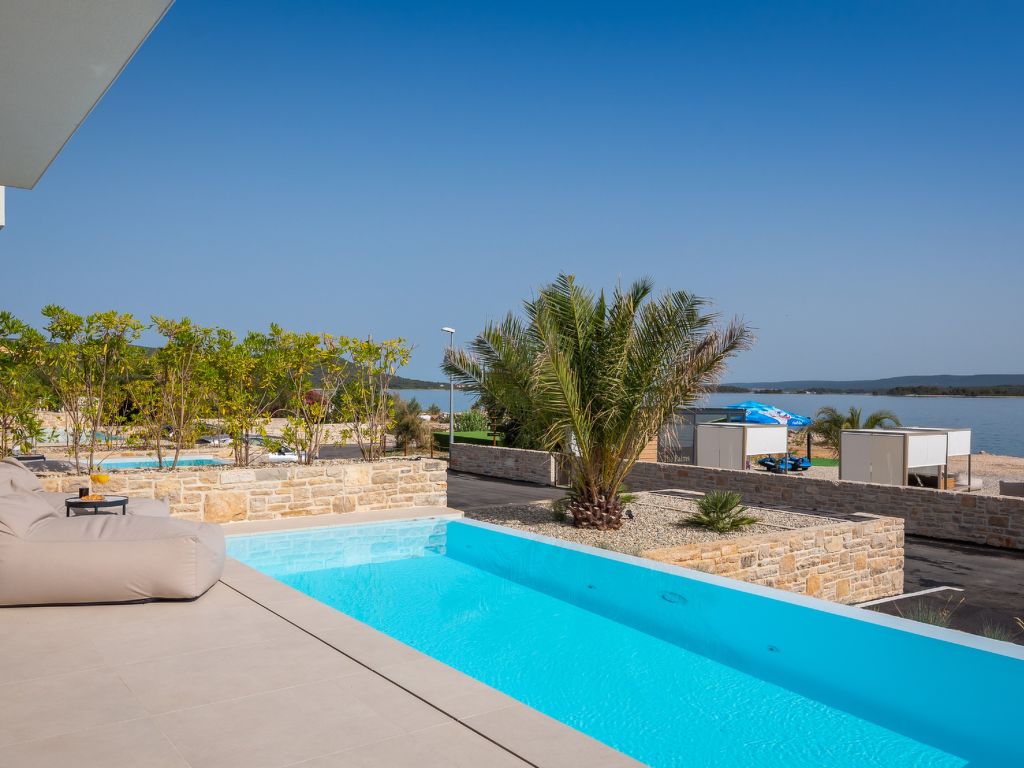 Palms | Boeken bij Flickmyhouse