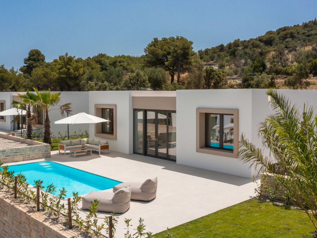 Palms | Boeken bij Flickmyhouse