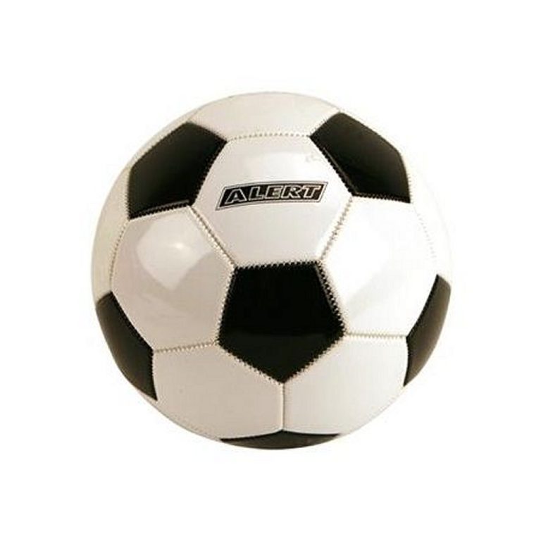 Alert Voetbal Maat 5 Wit/Zwart | Kopen bij Flickmyhouse