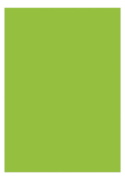 Kangaro K-0043F275 Papier A4 120gr Pak A 100 Vel Groen | Kopen bij Flickmyhouse