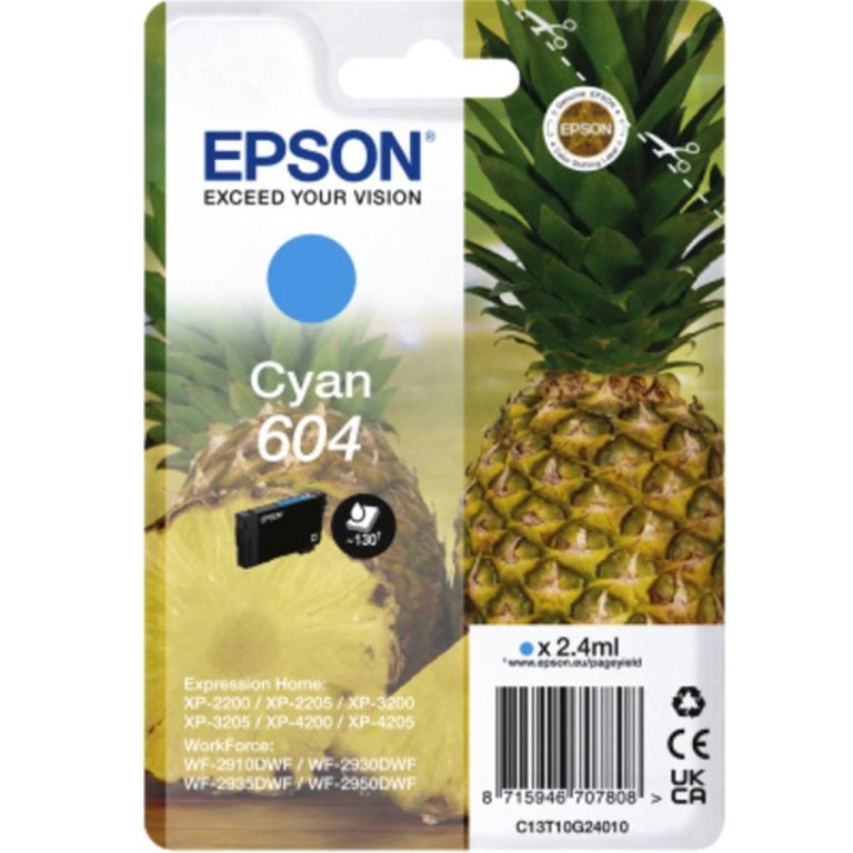 Epson T10g2 Origineel Bl 604 2.4ml | Kopen bij Flickmyhouse