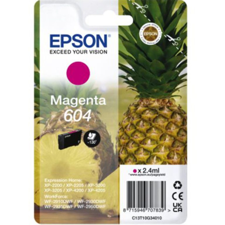 Epson T10g3 Origineel Ro 604 2.4ml | Kopen bij Flickmyhouse