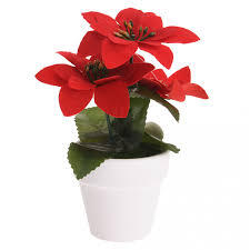 Kerstplant Rood Pot Keramiek | Kopen bij Flickmyhouse