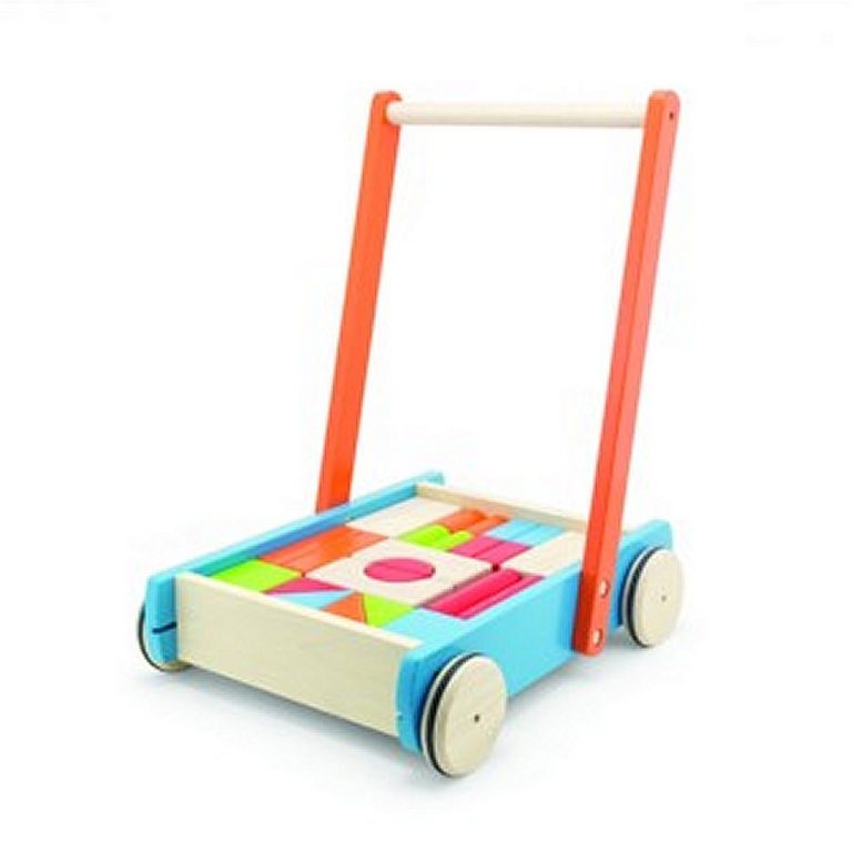 Pintoy Baby Walker Duwwagen met Blokken | Kopen bij Flickmyhouse
