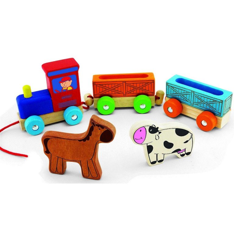 Pintoy Houten Dierentrein met Boerderijdieren | Kopen bij Flickmyhouse