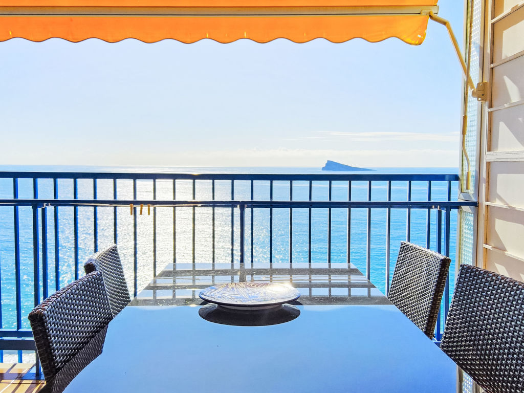 Las Palmeras | Boeken bij Flickmyhouse