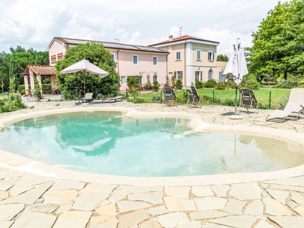 Agave | Boeken bij Flickmyhouse