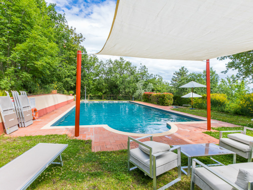 Il Cinghiale | Boeken bij Flickmyhouse