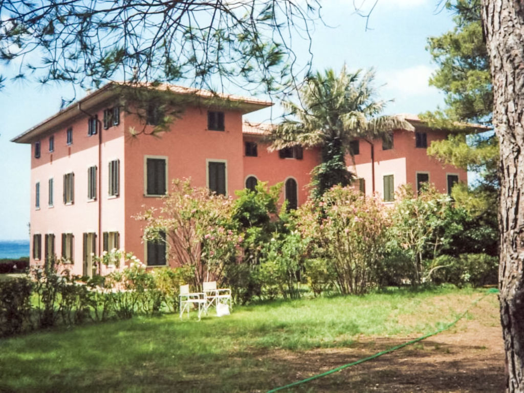 Pino | Boeken bij Flickmyhouse