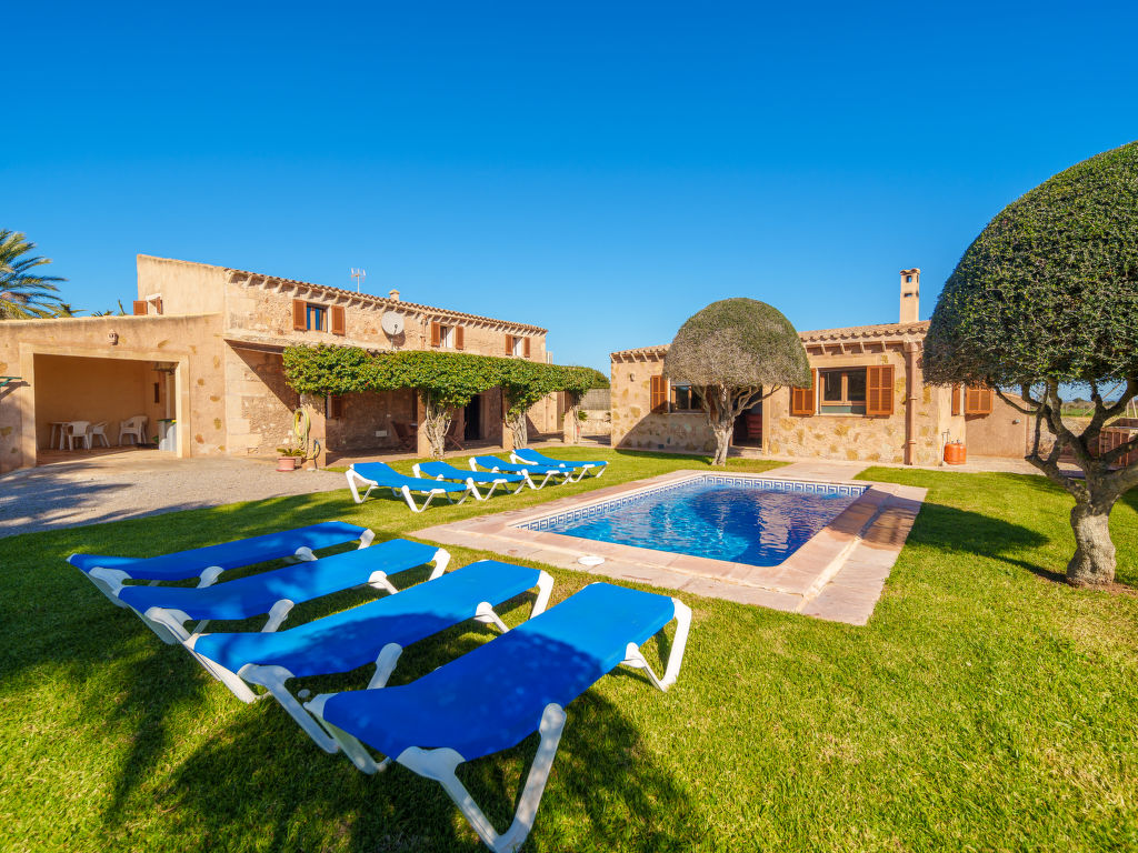 Es Palmer des Trenc | Boeken bij Flickmyhouse