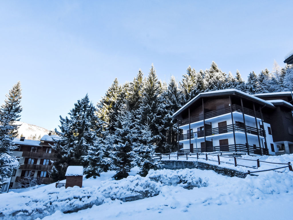 Andine Loft | Boeken bij Flickmyhouse