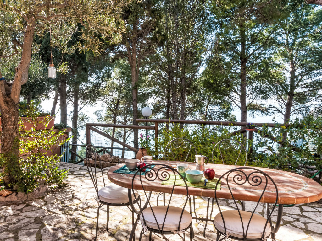 Rosa Marina | Boeken bij Flickmyhouse