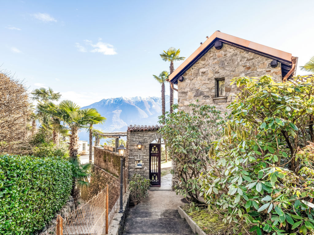 Palm Cottage | Boeken bij Flickmyhouse