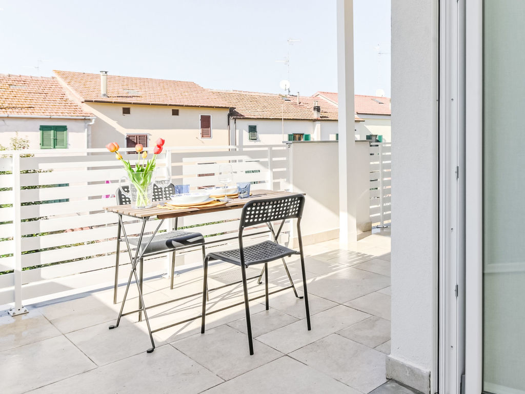 Palmaiola | Boeken bij Flickmyhouse