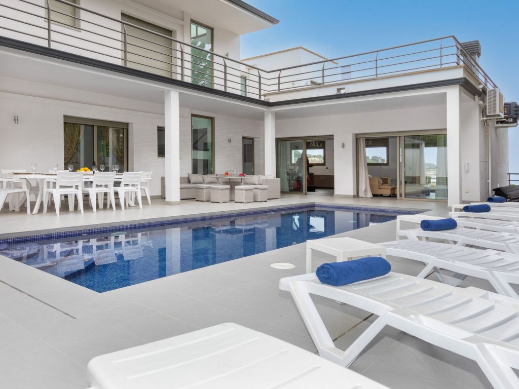 Palmbeach | Boeken bij Flickmyhouse