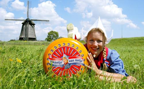 3kg Frau Antje Pikantje - Goudse Kaas 48+ | Kopen bij Flickmyhouse