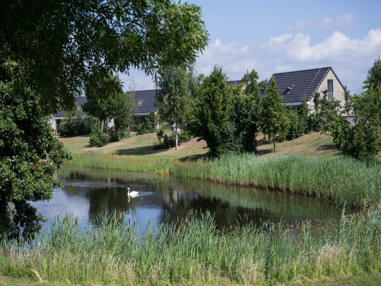 Basic 6 persoons vakantievilla aan de Maasplassen nabij Roermond - Limburg