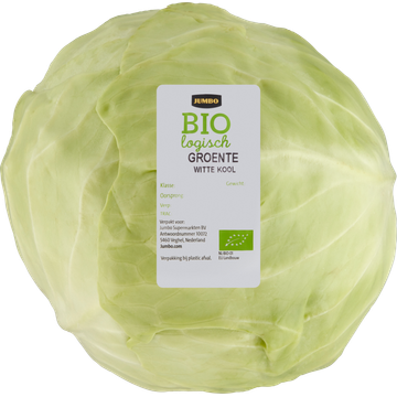 Jumbo Biologische Witte Kool 1 Stuk | Flickmyhouse