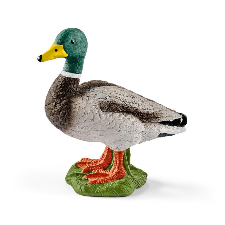 Schleich Eend | Kopen bij Flickmyhouse