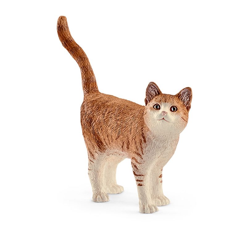 Schleich Kat | Kopen bij Flickmyhouse