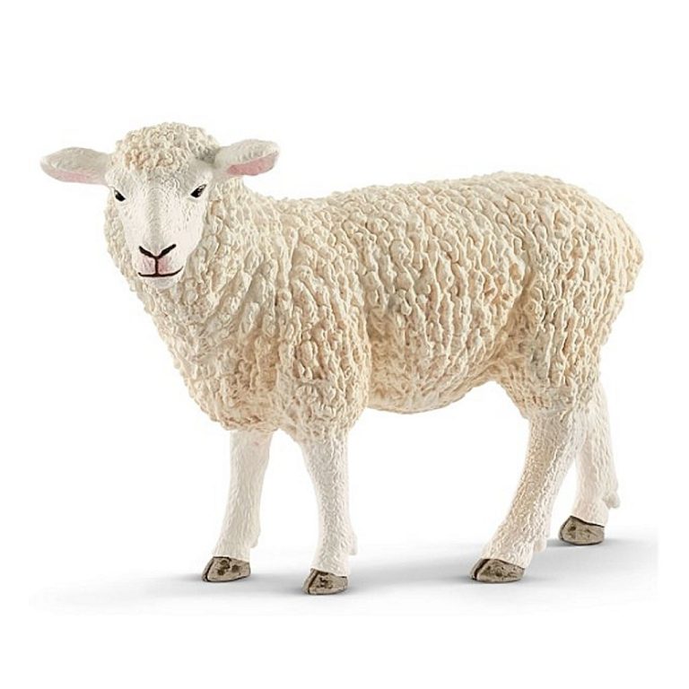 Schleich Schaap | Kopen bij Flickmyhouse