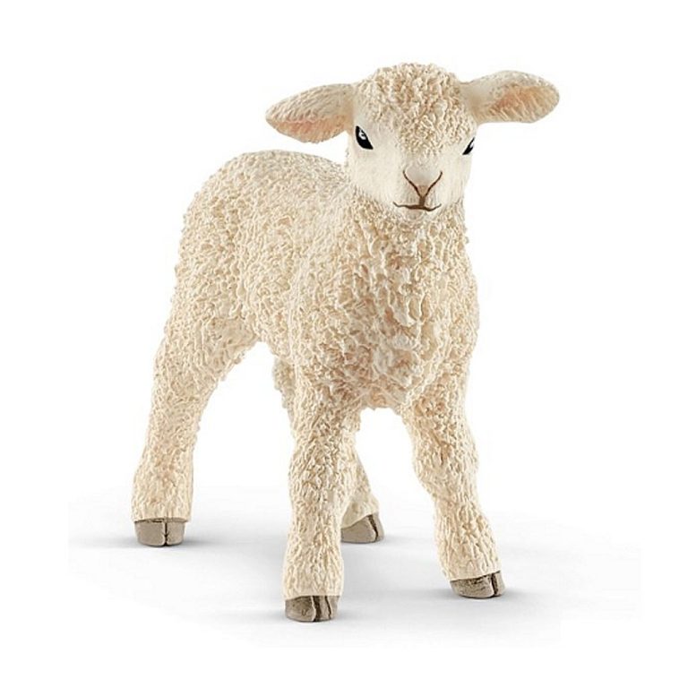 Schleich Lam | Kopen bij Flickmyhouse