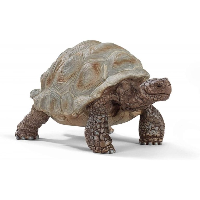Schleich Reuzeschildpad | Kopen bij Flickmyhouse