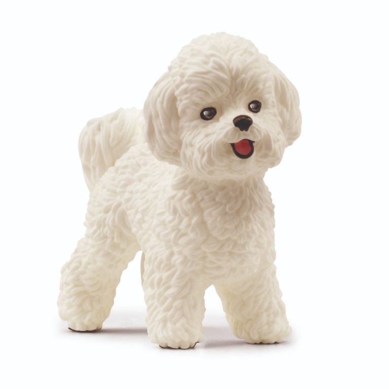 Schleich Bichon Frise | Kopen bij Flickmyhouse