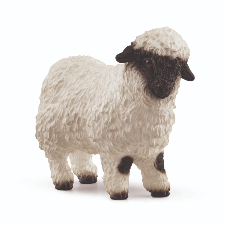 Schleich Walliser Schwarznase Schaap | Kopen bij Flickmyhouse