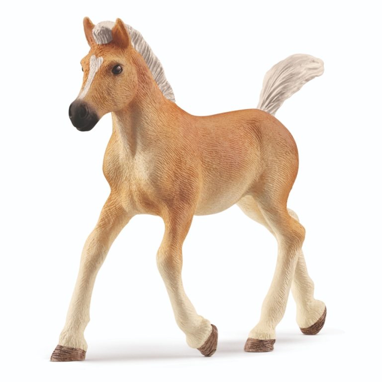 Schleich Haflinger Veulen | Kopen bij Flickmyhouse