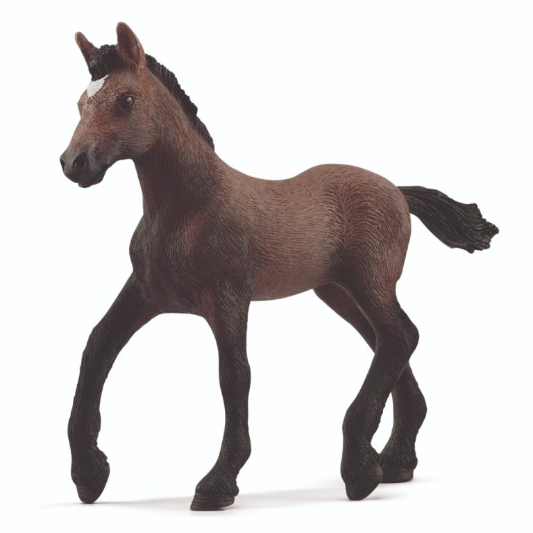 Schleich Paso Peruano Veulen | Kopen bij Flickmyhouse