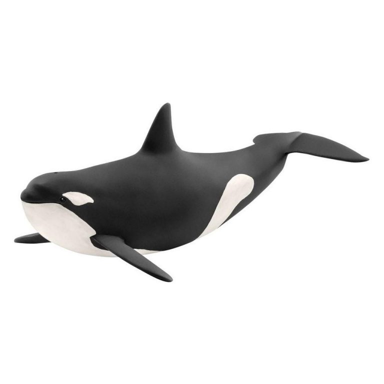 Schleich Orka 19.5x9.7x6.7 cm | Kopen bij Flickmyhouse