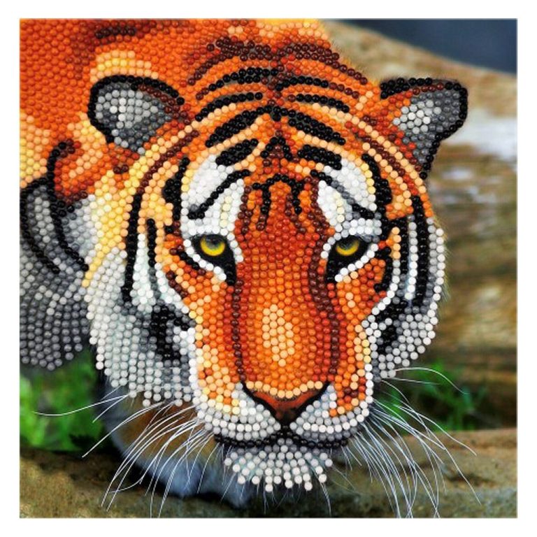 Craft Buddy Crystal Art Kaart Tijger 18x18 cm | Kopen bij Flickmyhouse