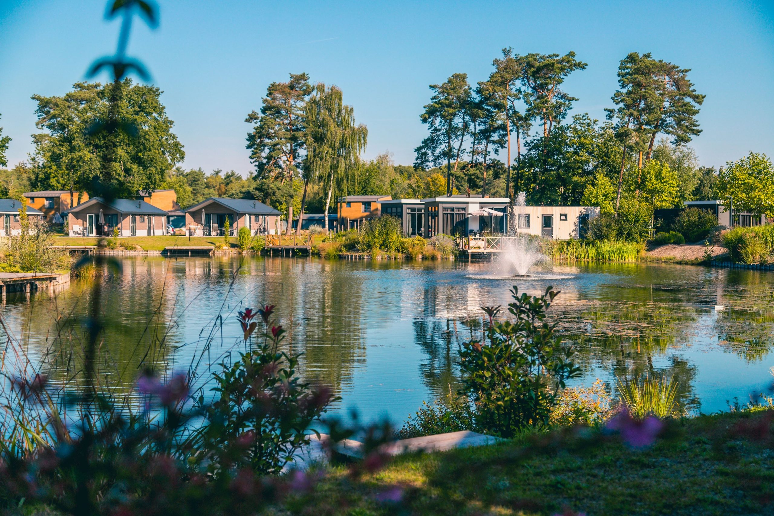 EuroParcs Zilverstrand | Reserveren bij Flickmyhouse