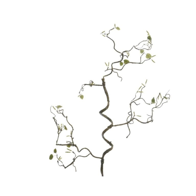 Paastak Plastic | Kopen bij Flickmyhouse