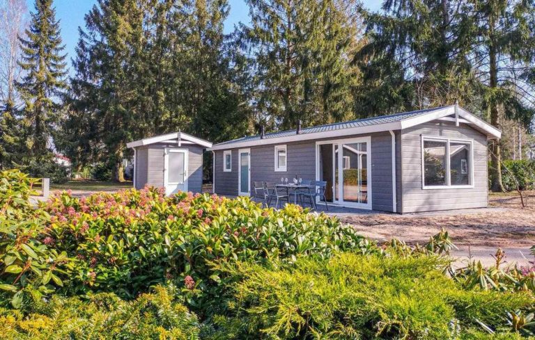 Modern 4 persoons chalet nabij het Kastelendorp Vorden - Gelderland