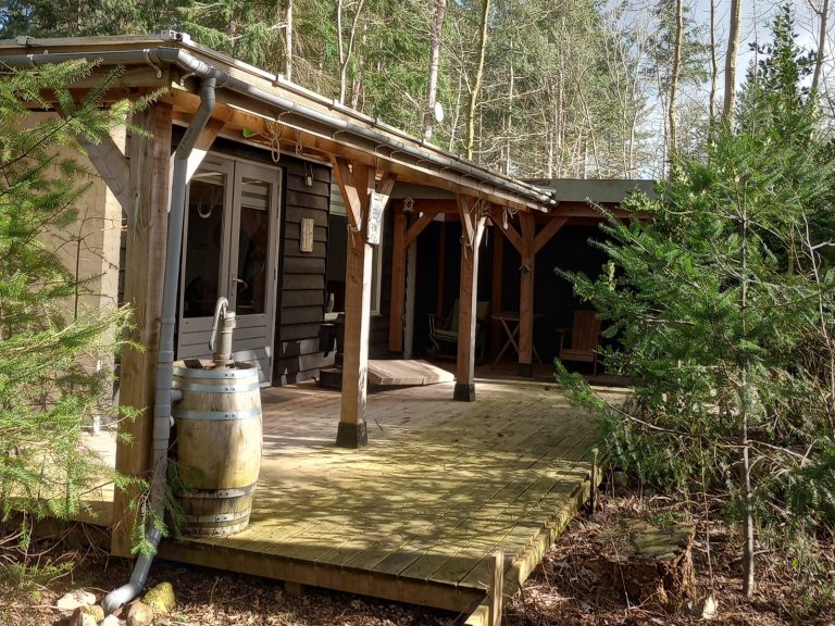 Rustig gelegen 3 persoons vakantiehuis in de bosrijke omgeving van Eeserveen