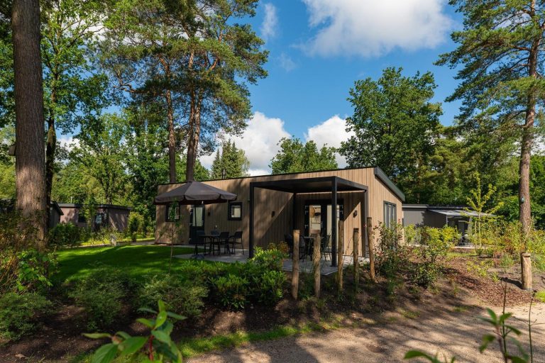 Modern 4-persoons vakantiehuis op een mooi vakantiepark op de Veluwe