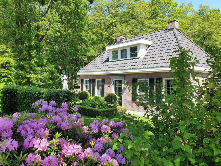 8 persoons notariswoning in Nunspeet op een park aan het Veluwemeer