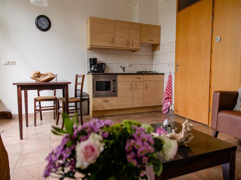 Comfortabel boerderij appartement voor 2 personen op een rustige camping in Den Ham