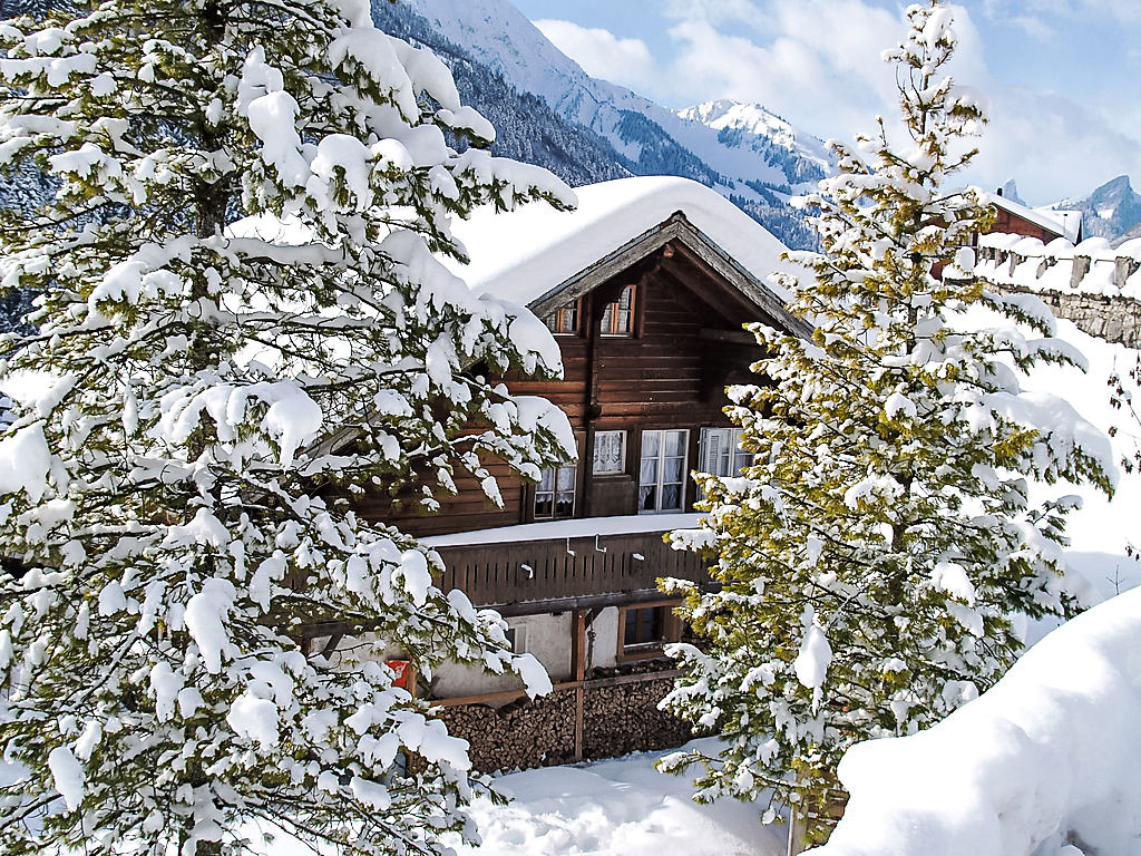 Höfli | Boeken bij Flickmyhouse