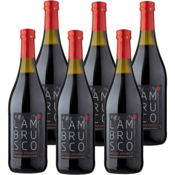 Lambrusco Rosso 6 x 750ML zonder doos bij Jumbo | Flickmyhouse