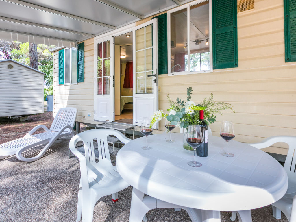 Green Holiday | Boeken bij Flickmyhouse