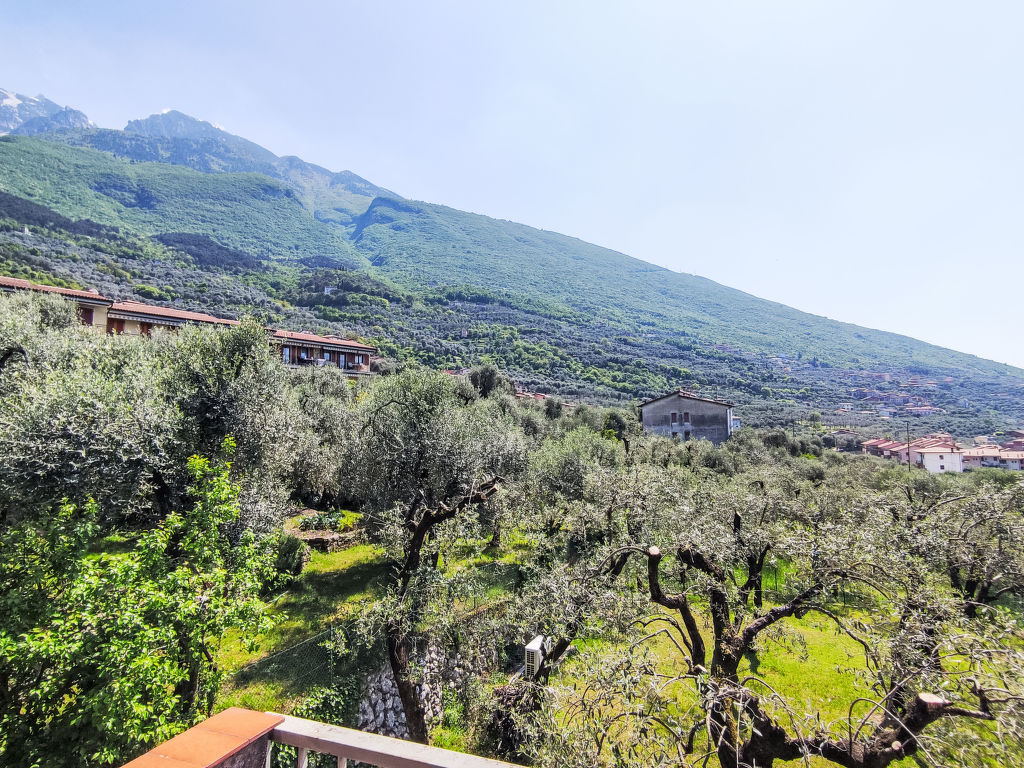 Papandrea | Boeken bij Flickmyhouse