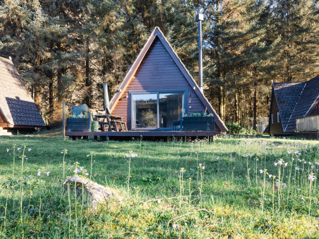 Pine Needle Lodge | Boeken bij Flickmyhouse