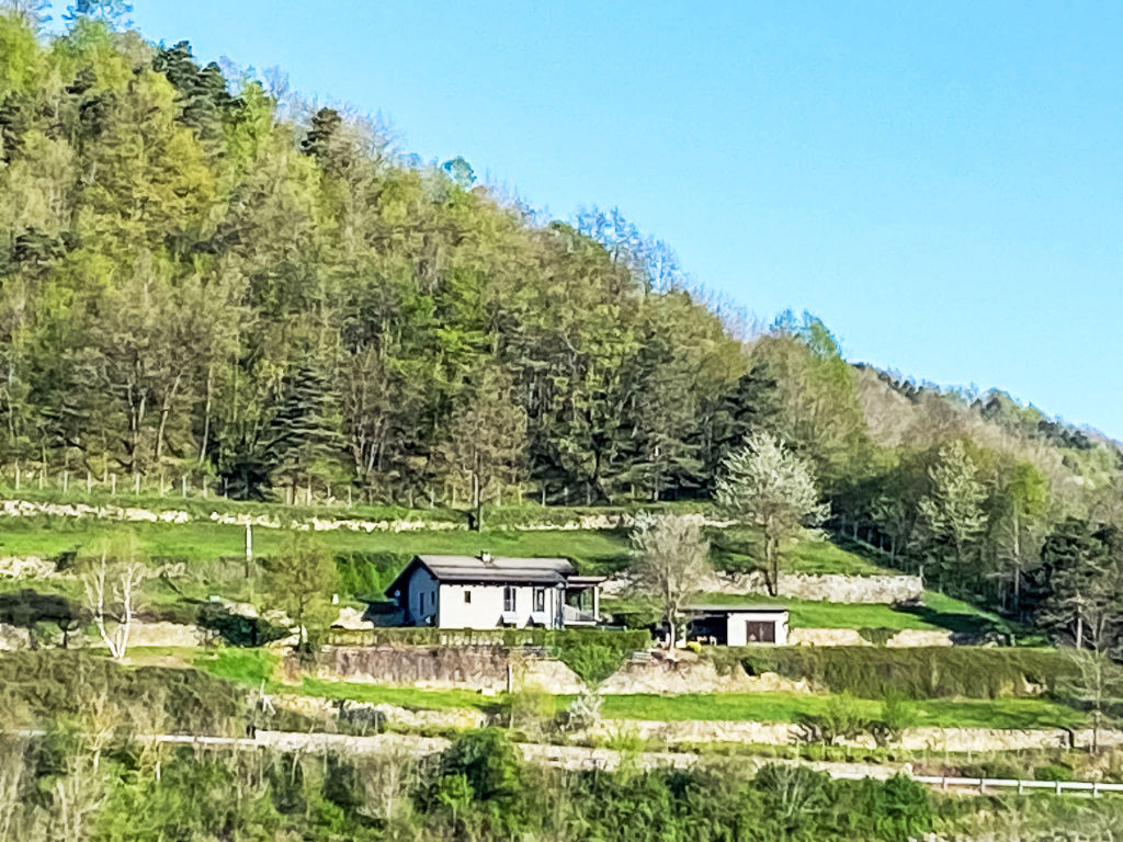 Belbo | Boeken bij Flickmyhouse