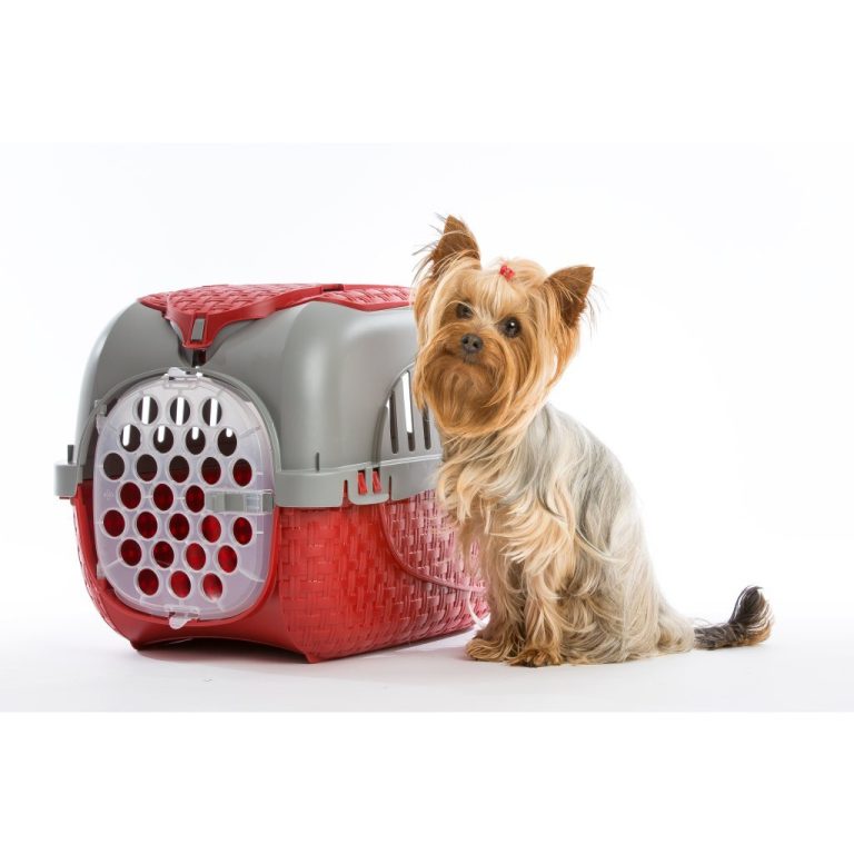 Bama Pet Transportbox 59x38x37 cm Rood/Zilver | Kopen bij Flickmyhouse