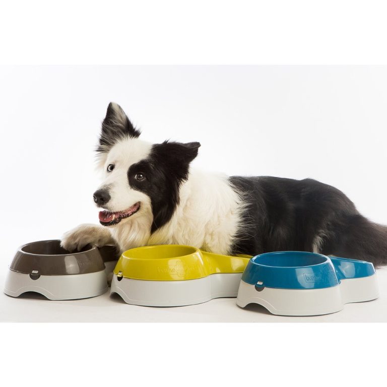 Bama Pet Voerderbak met Waterreservoir 33x20x9 cm Assorti | Kopen bij Flickmyhouse